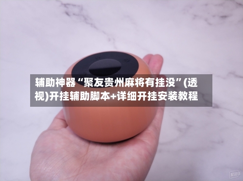 辅助神器“聚友贵州麻将有挂没”(透视)开挂辅助脚本+详细开挂安装教程-第2张图片