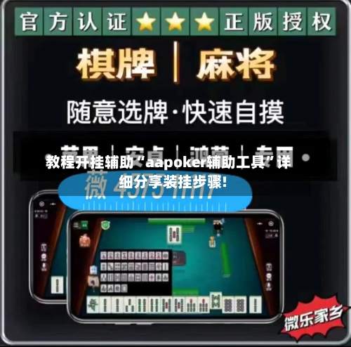 教程开挂辅助“aapoker辅助工具”详细分享装挂步骤!-第3张图片