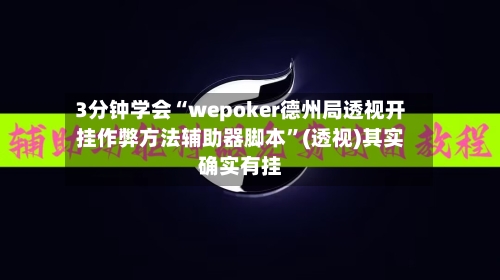 3分钟学会“wepoker德州局透视开挂作弊方法辅助器脚本”(透视)其实确实有挂-第2张图片