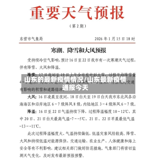 山东的最新疫情情况/山东最新疫情通报今天-第3张图片