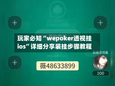 玩家必知“wepoker透视挂ios”详细分享装挂步骤教程-第2张图片