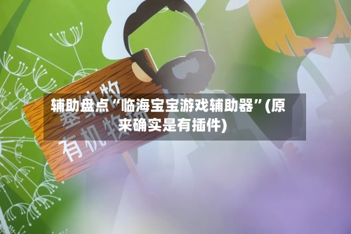 辅助盘点“临海宝宝游戏辅助器”(原来确实是有插件)