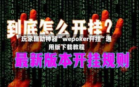 玩家辅助神器“wepoker开挂	”通用版下载教程-第2张图片