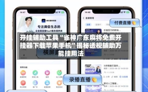 开挂辅助工具“雀神广东麻将免费开挂器下载苹果手机	”揭秘透视辅助万能挂用法-第2张图片
