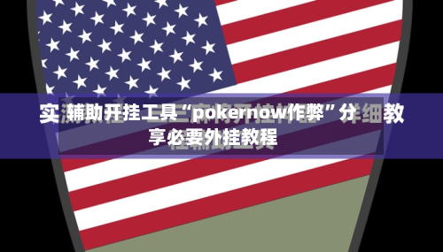 辅助开挂工具“pokernow作弊”分享必要外挂教程-第2张图片