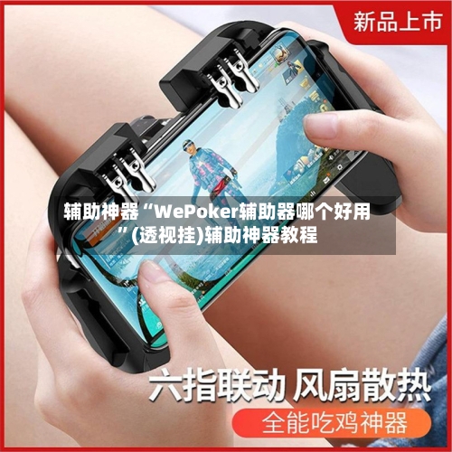 辅助神器“WePoker辅助器哪个好用”(透视挂)辅助神器教程
