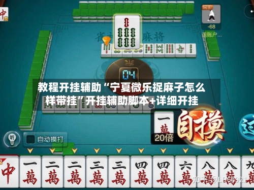教程开挂辅助“宁夏微乐捉麻子怎么样带挂”开挂辅助脚本+详细开挂