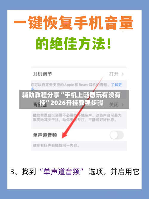 辅助教程分享“手机上随意玩有没有挂”2026开挂教程步骤