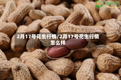 2月17号花生行情/2月17号花生行情怎么样