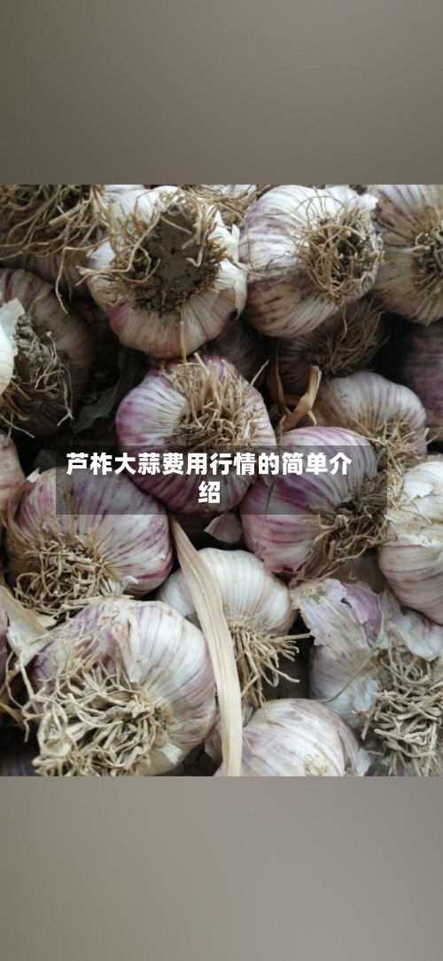 芦柞大蒜费用行情的简单介绍