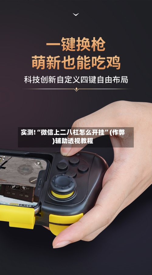 实测!“微信上二八杠怎么开挂”(作弊)辅助透视教程