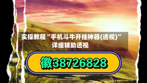实操教程“手机斗牛开挂神器(透视)”详细辅助透视