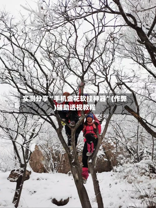 实测分享“手机金花软挂神器”(作弊)辅助透视教程