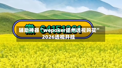 辅助神器“wepoker德州透视购买”2026透视开挂