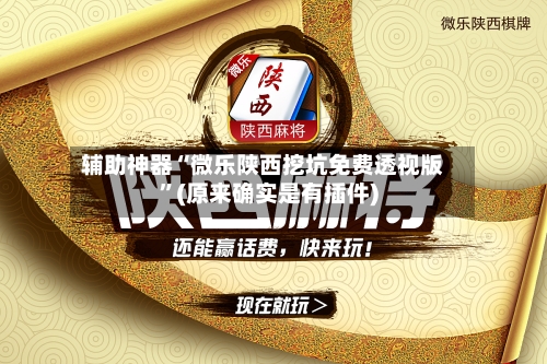 辅助神器“微乐陕西挖坑免费透视版”(原来确实是有插件)