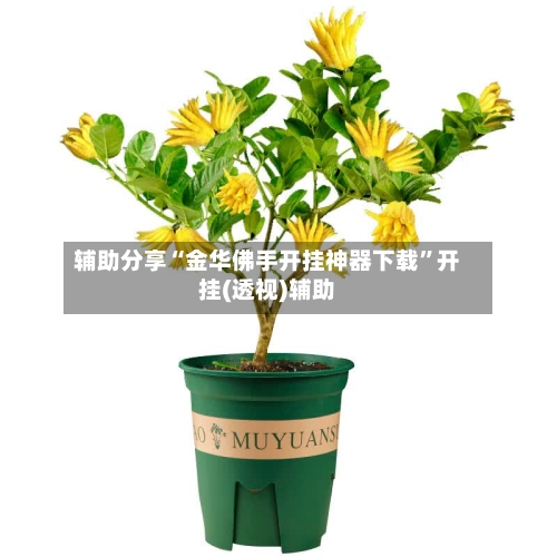 辅助分享“金华佛手开挂神器下载”开挂(透视)辅助
