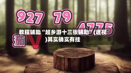 教程辅助“越乡游十三张辅助”(透视)其实确实有挂