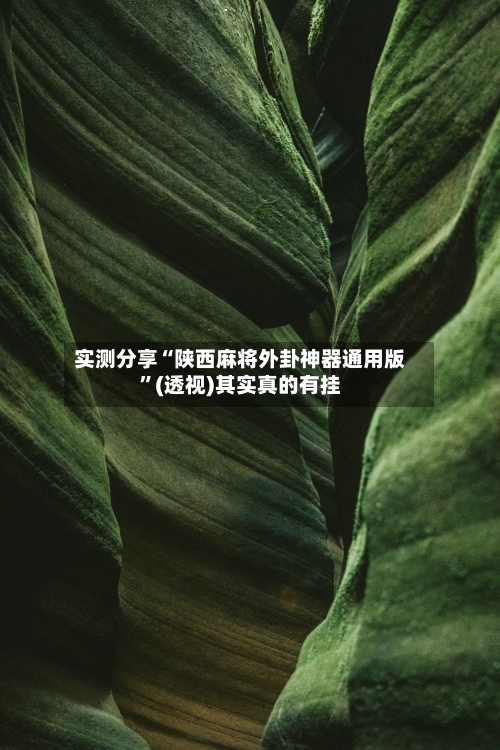 实测分享“陕西麻将外卦神器通用版”(透视)其实真的有挂