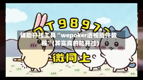 辅助开挂工具“wepoker透视插件教程”(其实真的能开挂)
