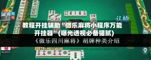 教程开挂辅助“微乐麻将小程序万能开挂器”(曝光透视必备猫腻)
