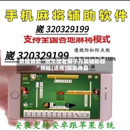 教程辅助“微乐捉老麻子万能辅助器”开挂(透视)辅助神器