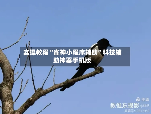 实操教程“雀神小程序辅助”科技辅助神器手机版