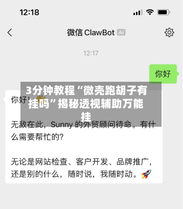3分钟教程“微壳跑胡子有挂吗”揭秘透视辅助万能挂