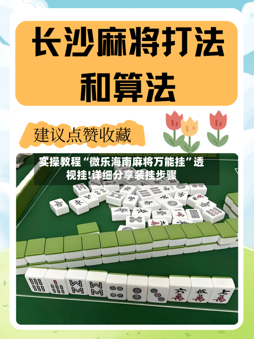 实操教程“微乐海南麻将万能挂”透视挂!详细分享装挂步骤