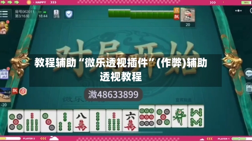 教程辅助“微乐透视插件”(作弊)辅助透视教程