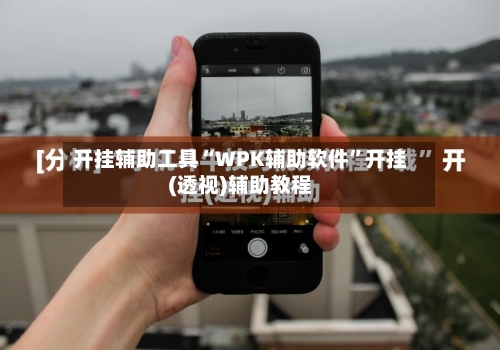 开挂辅助工具“WPK辅助软件”开挂(透视)辅助教程
