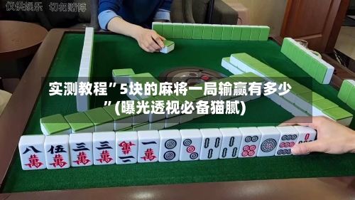 实测教程”5块的麻将一局输赢有多少”(曝光透视必备猫腻)
