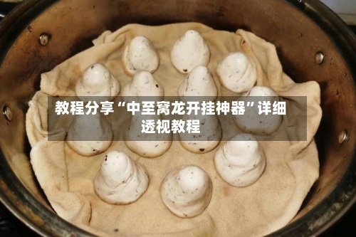 教程分享“中至窝龙开挂神器”详细透视教程
