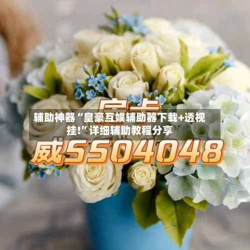 辅助神器“皇豪互娱辅助器下载+透视挂!”详细辅助教程分享
