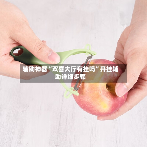 辅助神器“双喜大厅有挂吗”开挂辅助详细步骤