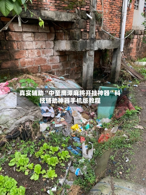 真实辅助“中至鹰潭麻将开挂神器”科技辅助神器手机版教程