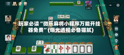 玩家必读“微乐麻将小程序万能开挂器免费”(曝光透视必备猫腻)