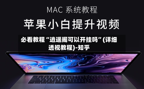 必看教程“逍遥阁可以开挂吗”(详细透视教程)-知乎