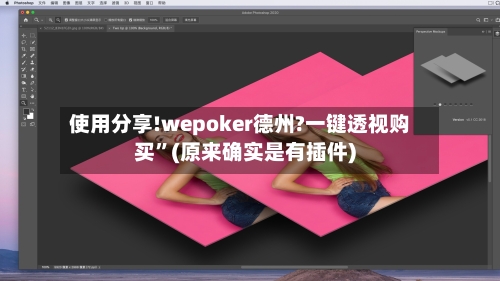 使用分享!wepoker德州?一键透视购买”(原来确实是有插件)