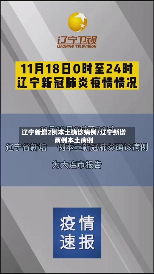 辽宁新增2例本土确诊病例/辽宁新增两例本土病例
