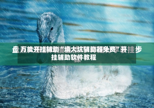 万能开挂辅助“填大坑辅助器免费”开挂辅助软件教程