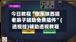 今日教程“微乐陕西捉老麻子辅助免费插件”(透视挂)辅助透视教程