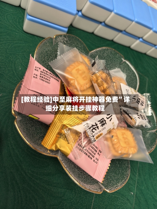 [教程经验]中至麻将开挂神器免费”详细分享装挂步骤教程
