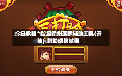 今日教程“智星德州菠萝辅助工具(开挂)-辅助透视教程