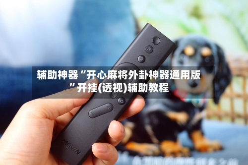 辅助神器“开心麻将外卦神器通用版”开挂(透视)辅助教程