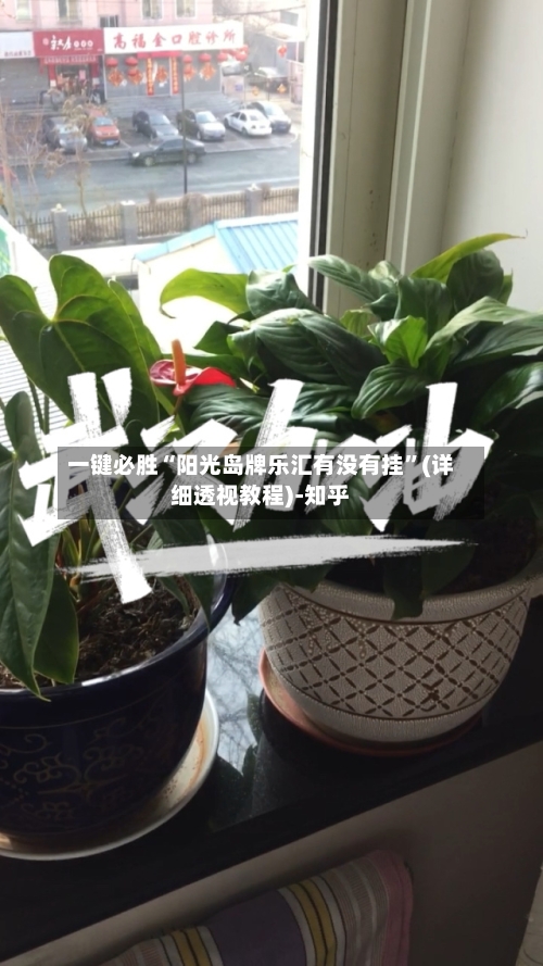 一键必胜“阳光岛牌乐汇有没有挂”(详细透视教程)-知乎