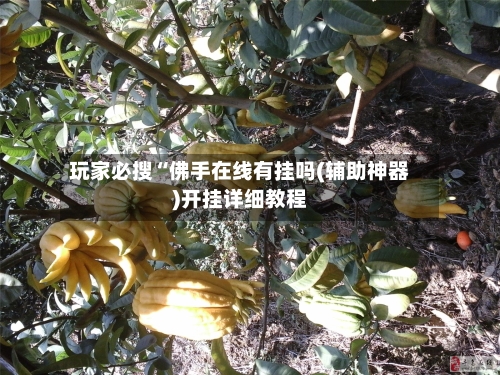 玩家必搜“佛手在线有挂吗(辅助神器)开挂详细教程