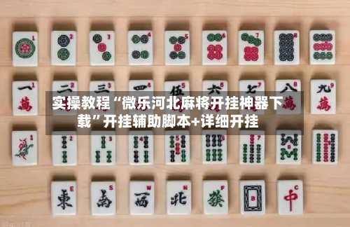 实操教程“微乐河北麻将开挂神器下载”开挂辅助脚本+详细开挂