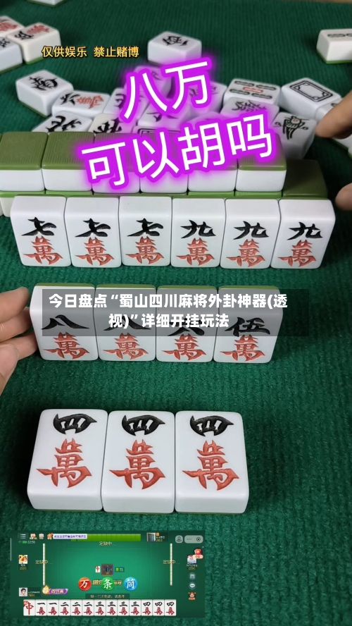 今日盘点“蜀山四川麻将外卦神器(透视)”详细开挂玩法