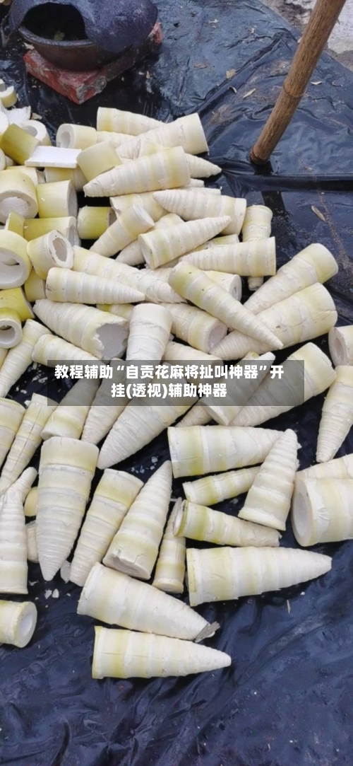教程辅助“自贡花麻将扯叫神器”开挂(透视)辅助神器