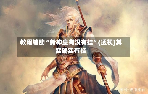 教程辅助“新神皇有没有挂”(透视)其实确实有挂